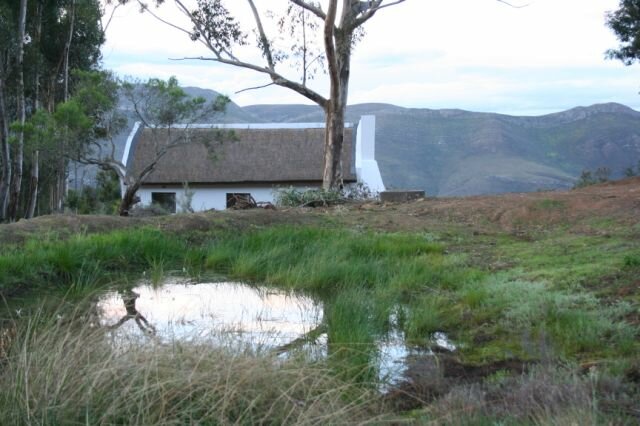 Protea Farm Die Opstal IMG 3542