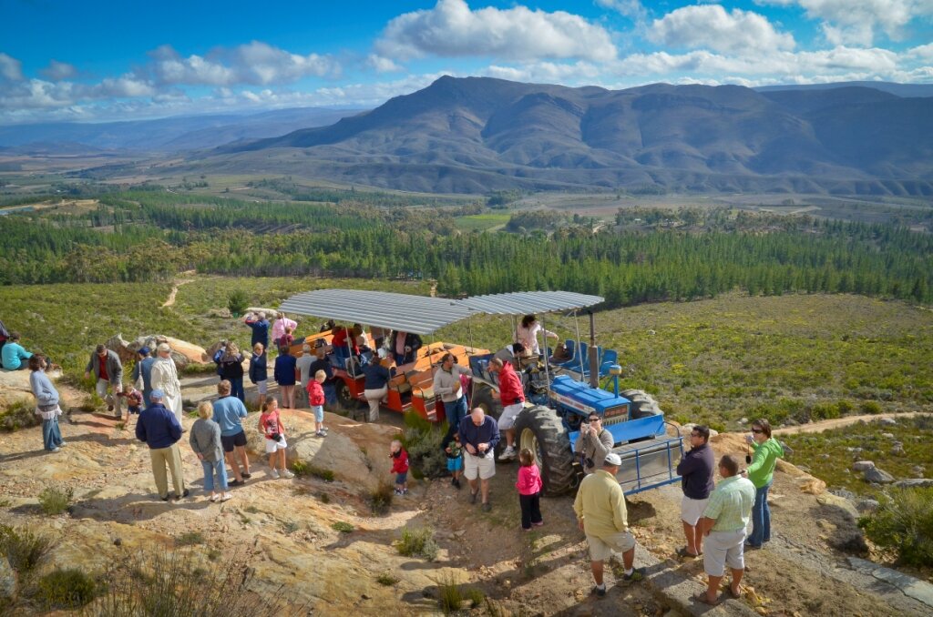 Protea Farm Trekker DSC 4487