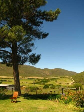 Rolbaken Guesthouse view with chair 1a wp