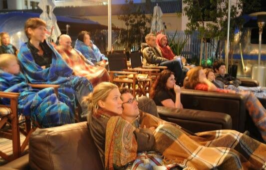 pink flamingo eintlike foto