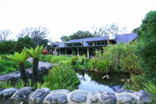 Moyo Kirstenbosch